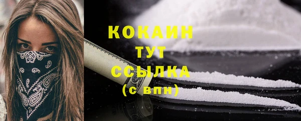 прущий лед Абаза