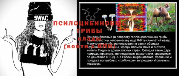 PSILOCYBIN Абинск